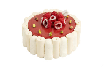 Vacherin Framboise Pistache TU - 6 parts