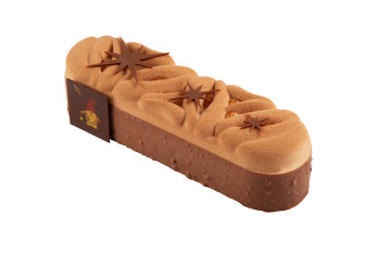 Bûche Alcyone - 6 parts