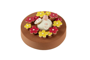 Entremet de Pâques - Chocolat Praliné